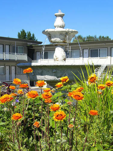 Comox Valley Inn & Suites 코트니 외부 사진