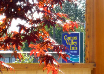 Comox Valley Inn & Suites 코트니 외부 사진